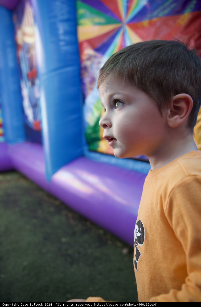Bouncing into Adventure
