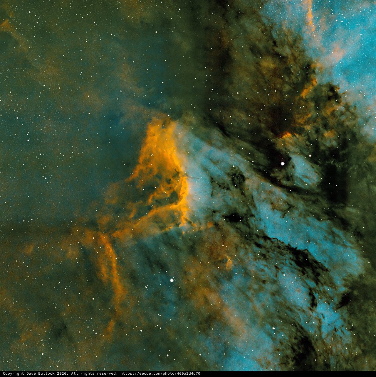 IC5070 Pelican Nebula in Narrowband SHO Palette