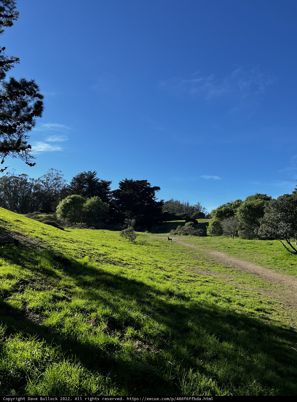 Serene countryside at McLaren Park