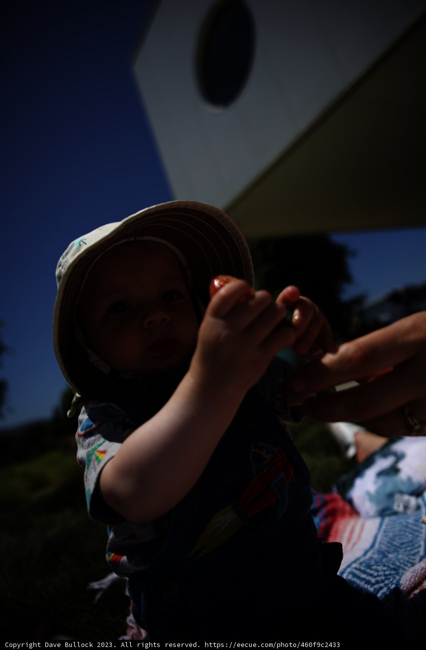 Sunshine Baby with a Touch of Orange