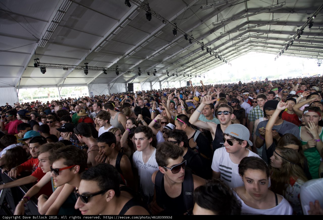 A Sea of Smiling Faces: Coachella Music Festival Crowd