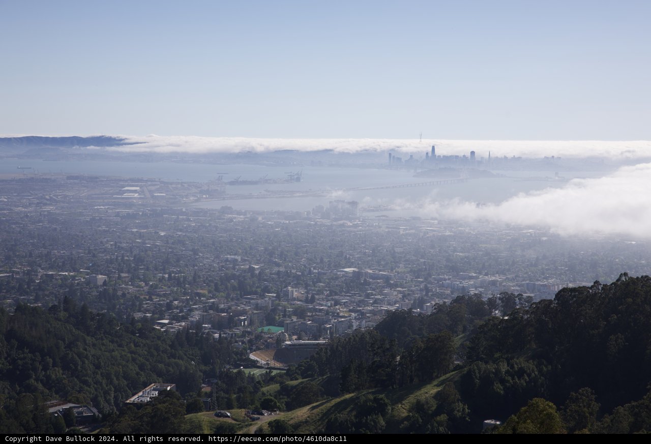 Urban Tapestry: A City Enveloped in Fog