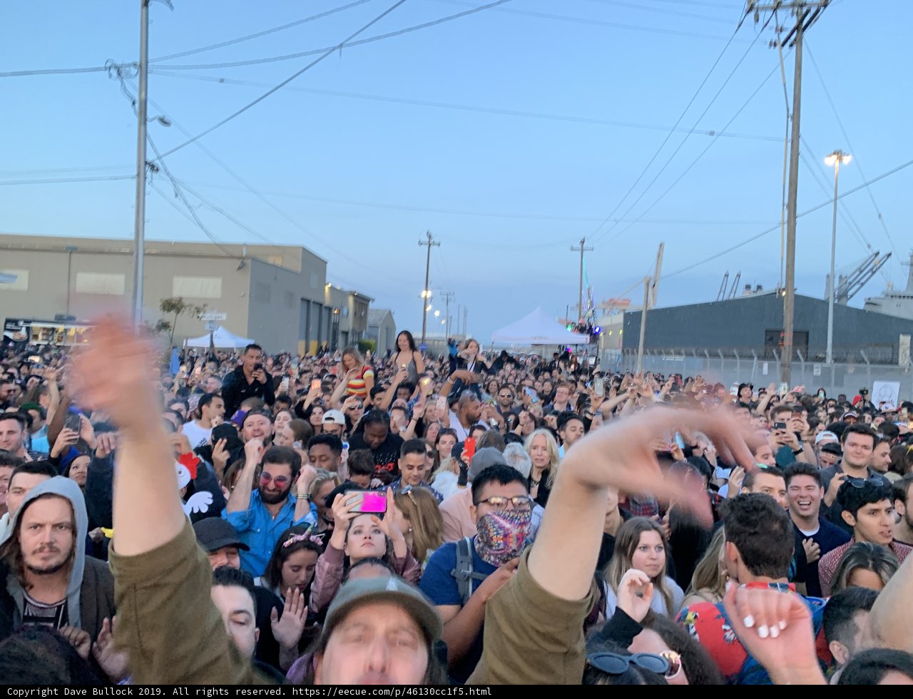 The Joyous Crowd at the San Francisco Concert