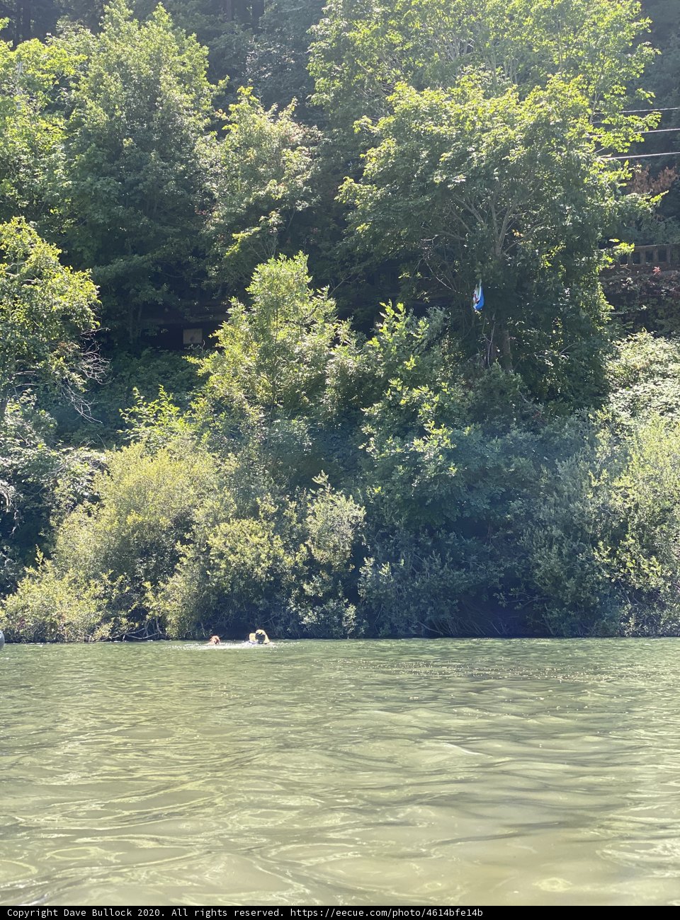 Navigating the Serene Waters of Russian River