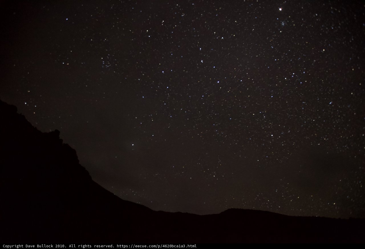 Stargazing Majesty