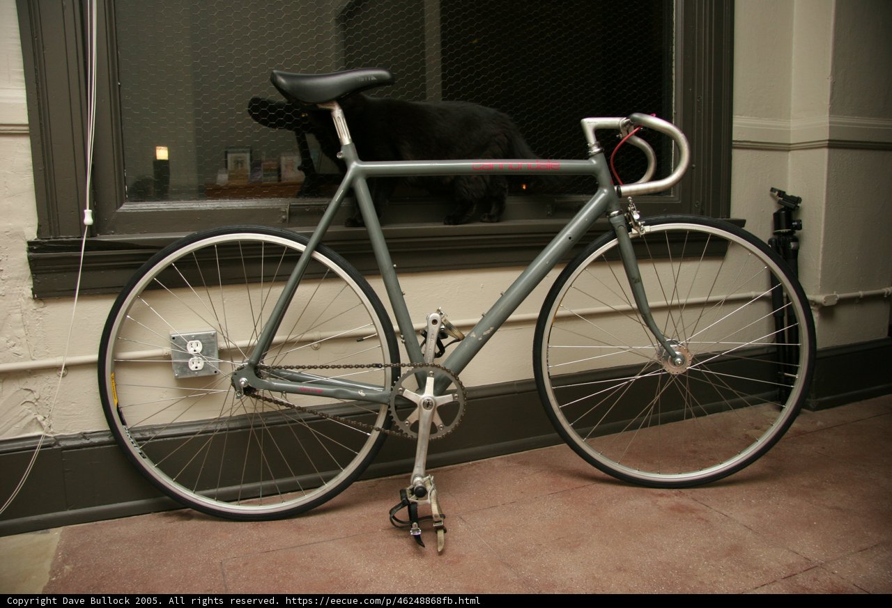 Leaning Bicycle