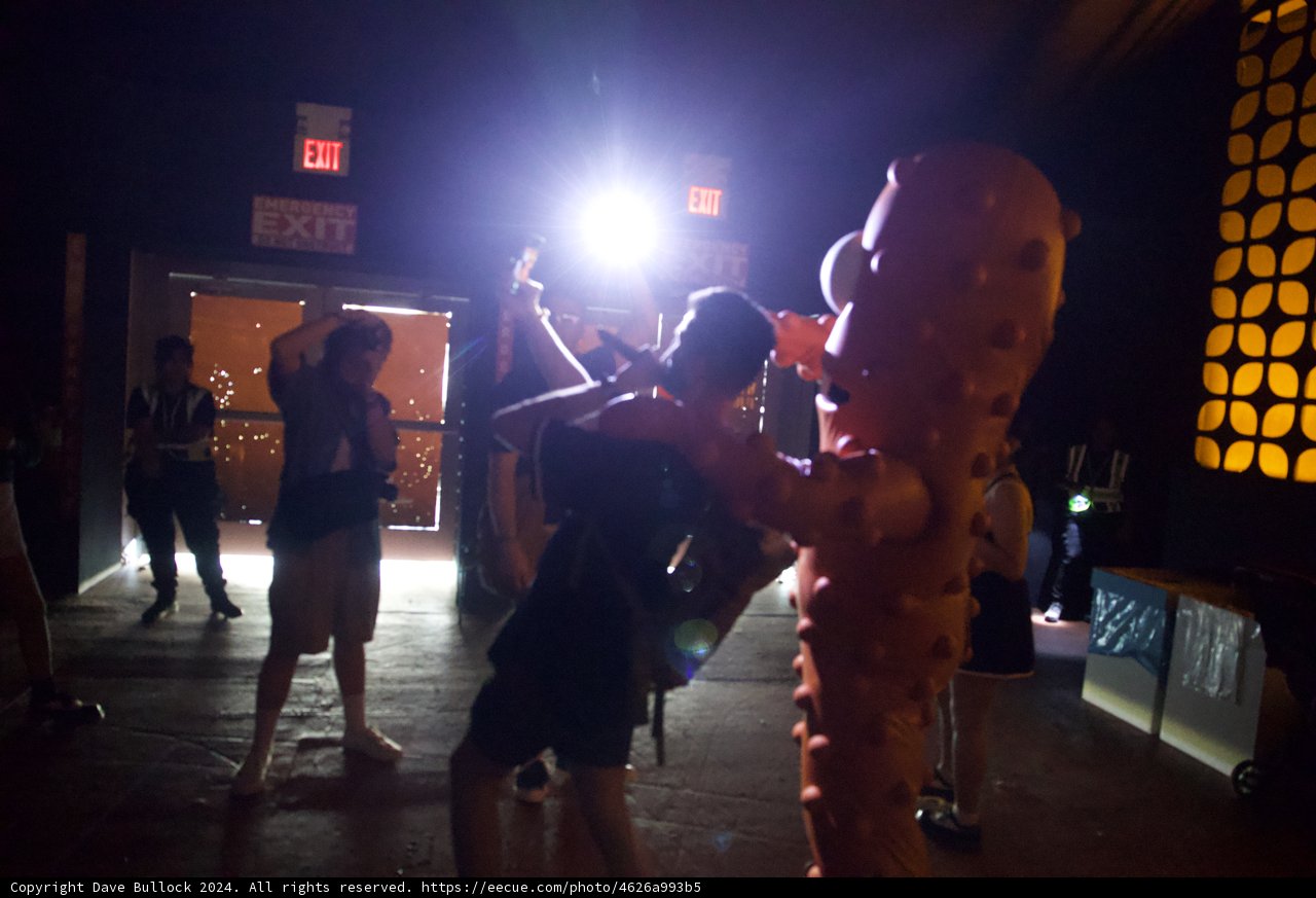 Twilight Dance: A Night at Coachella 2024