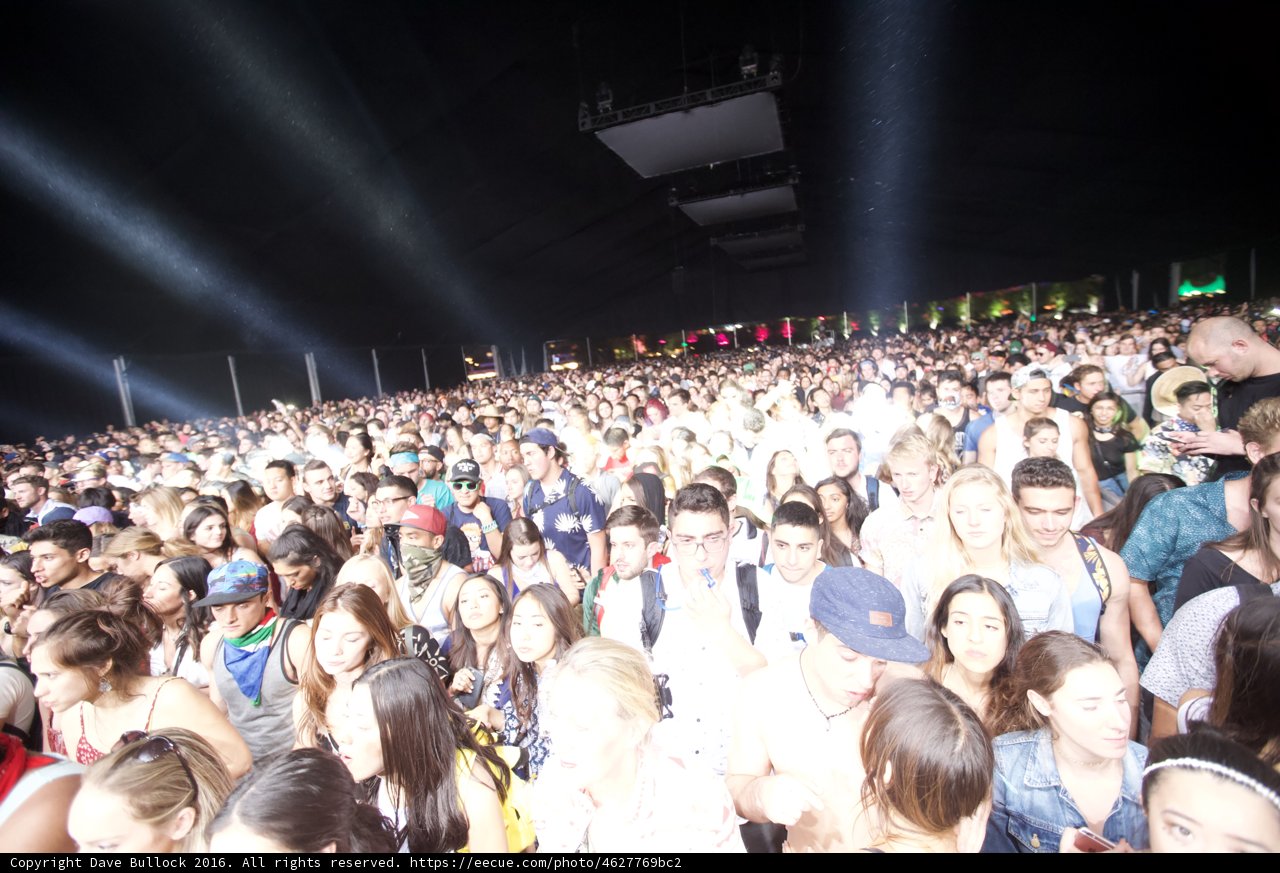 Bright Lights and Booming Music: The Concert Experience