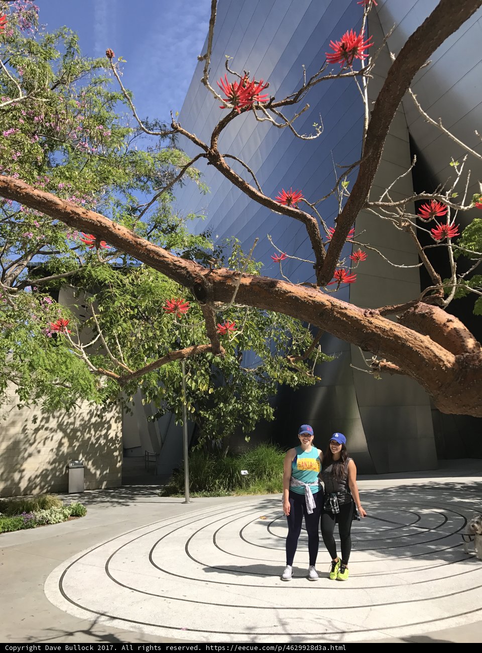 A Walk in the Concert Hall Garden