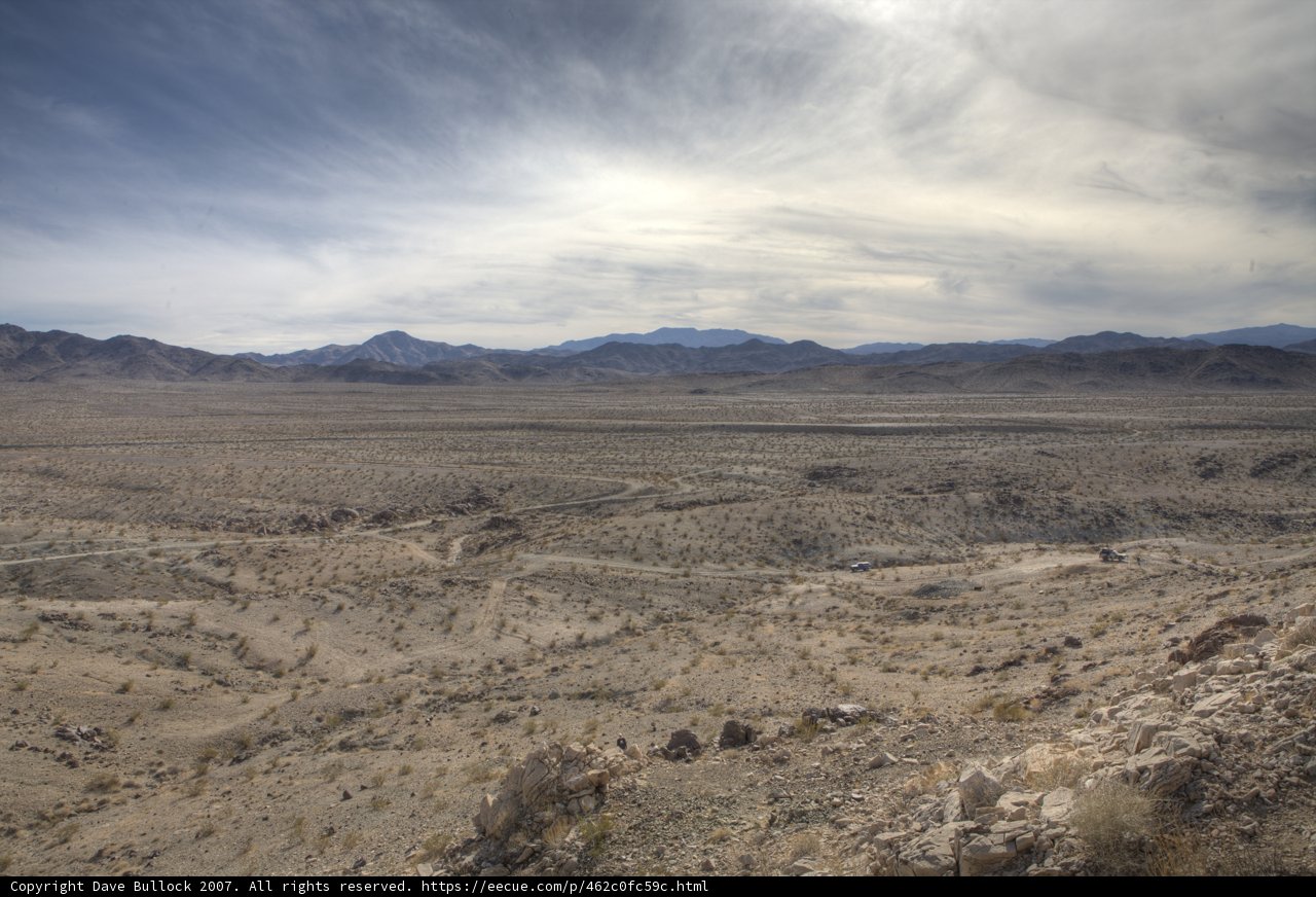 Desert Dreams