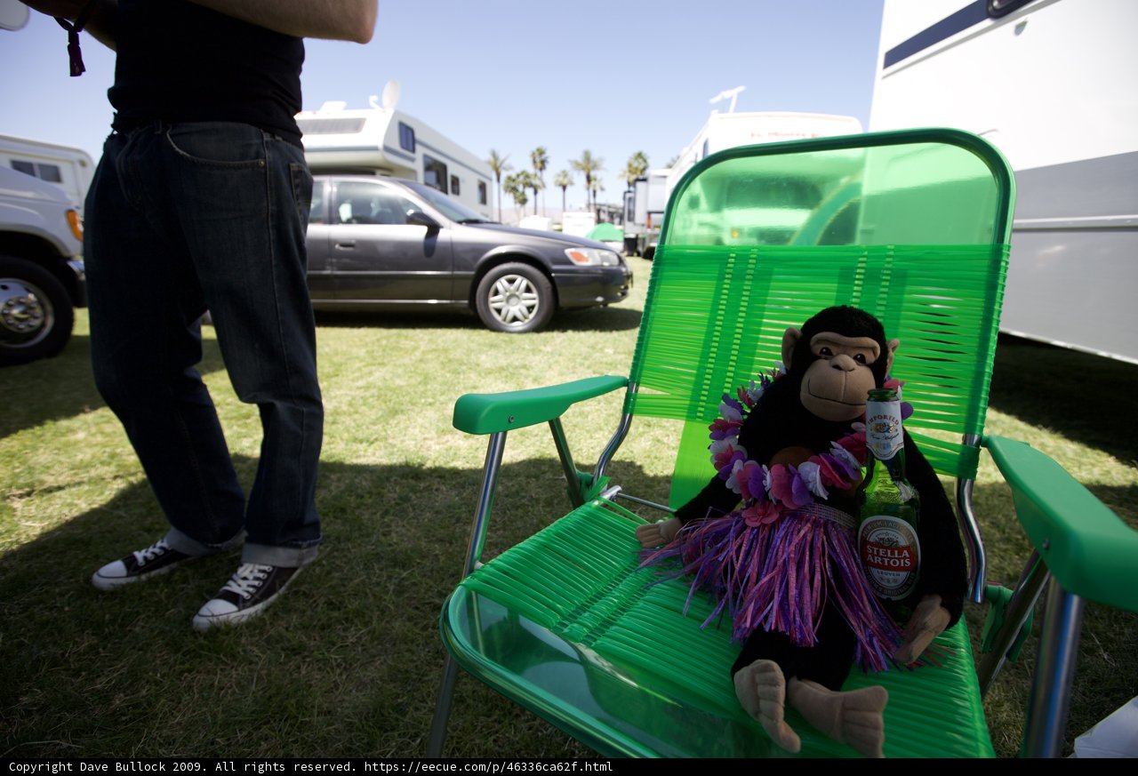 Monkey Chillout