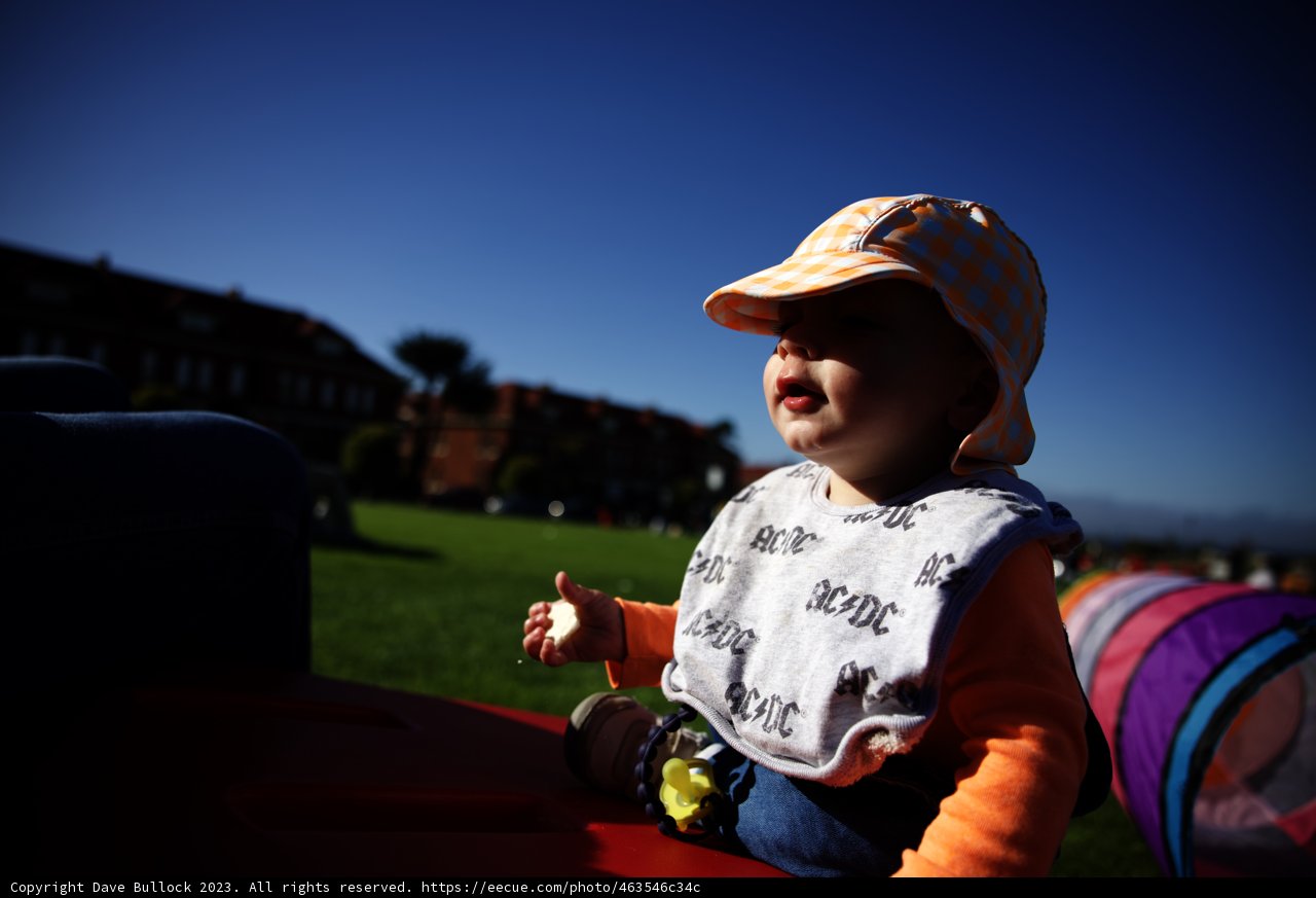 Little Explorer's Sunny Adventure