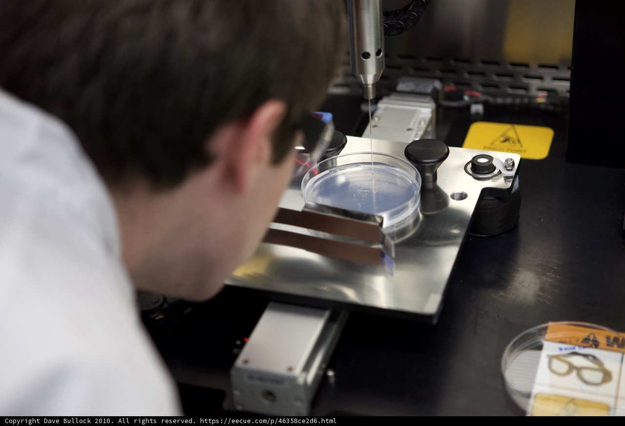 Microscopic Observations in the Lab