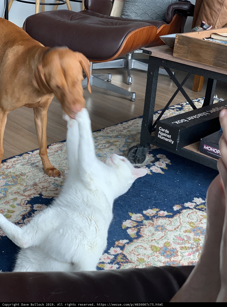 Unlikely Friends