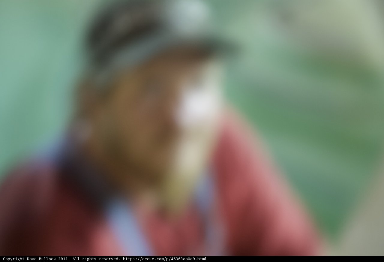 Blurred Baseball Fan