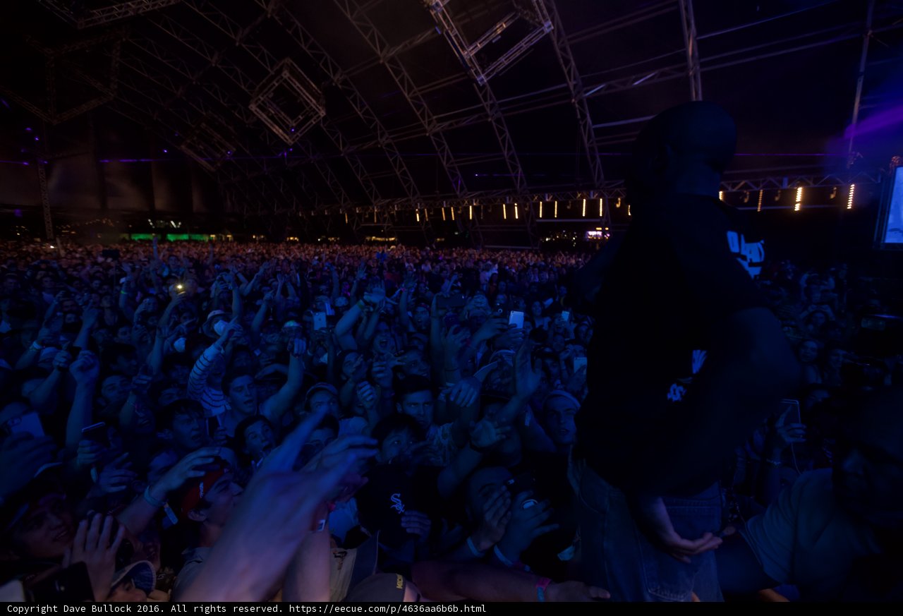 Energized Crowd Cheers on Male Musician at Concert