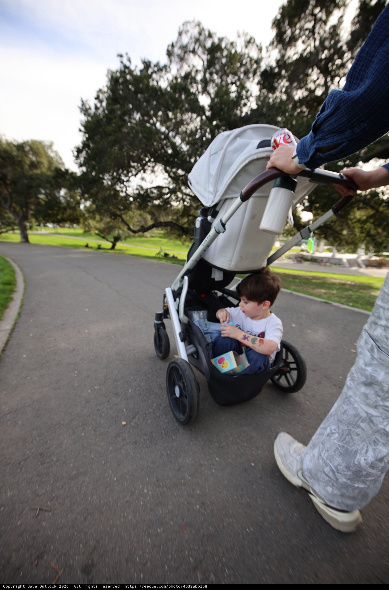 Parent Pushing Child in Stroller Through Park