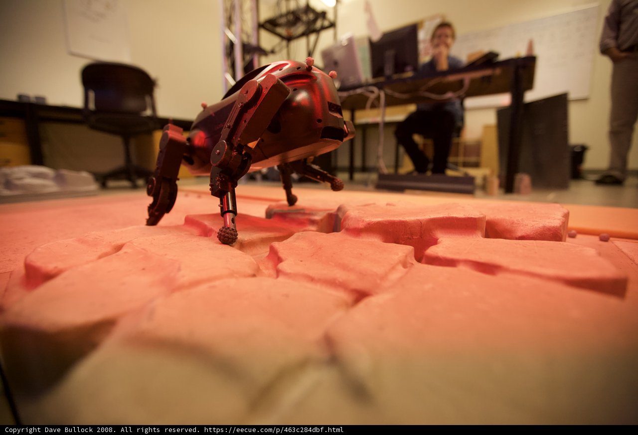Robotic Stroll on Red Flooring