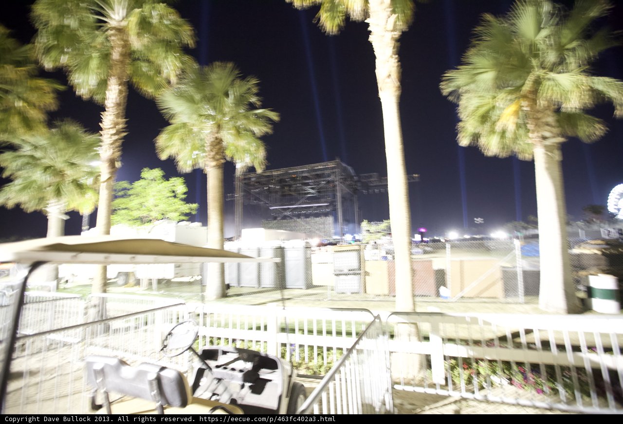 Nighttime Oasis