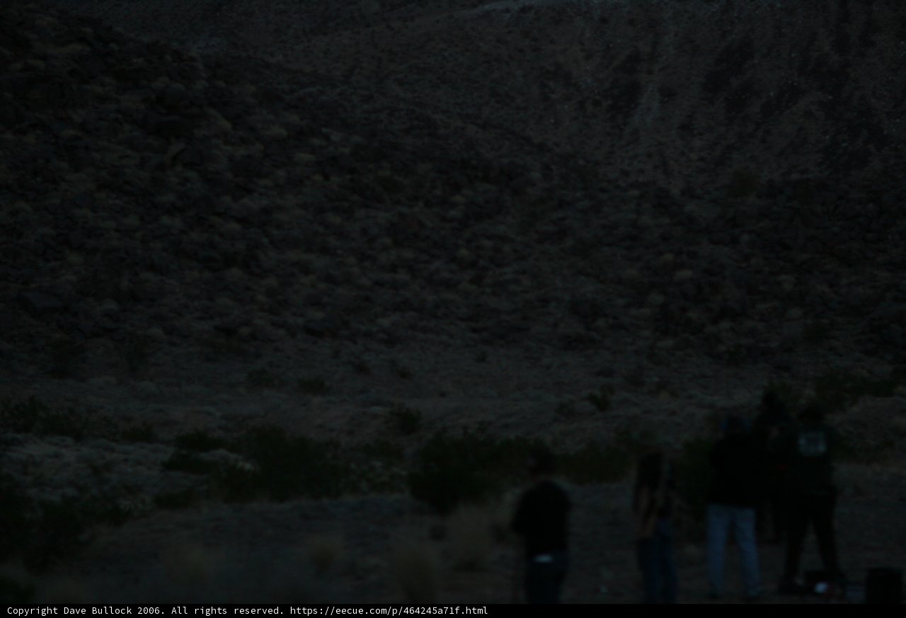 Desert Wanderers