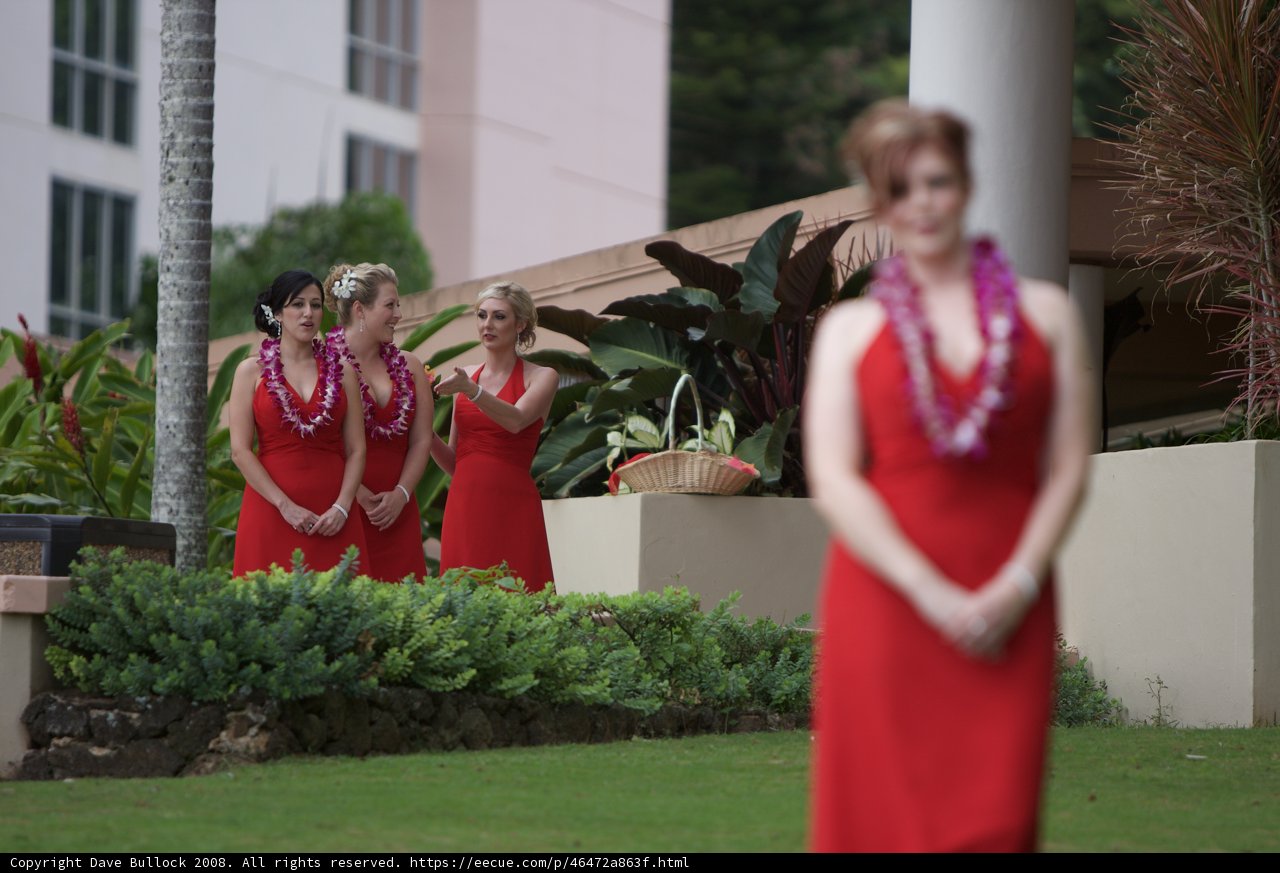 The Red Dress Brigade