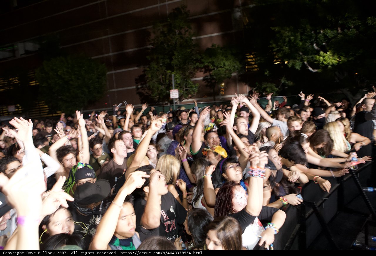 Nocturnal Concert Vibes