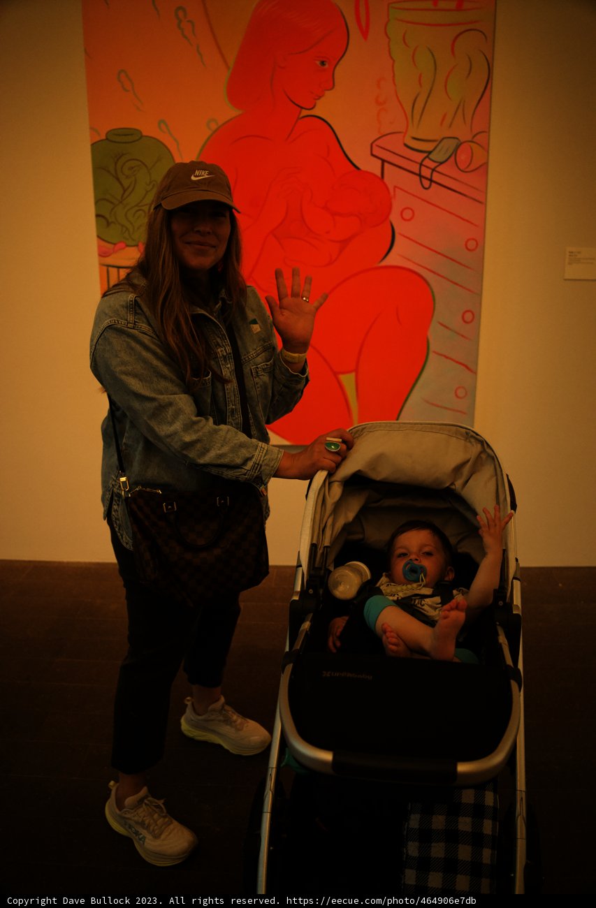 A Captivating Day at de Young Museum