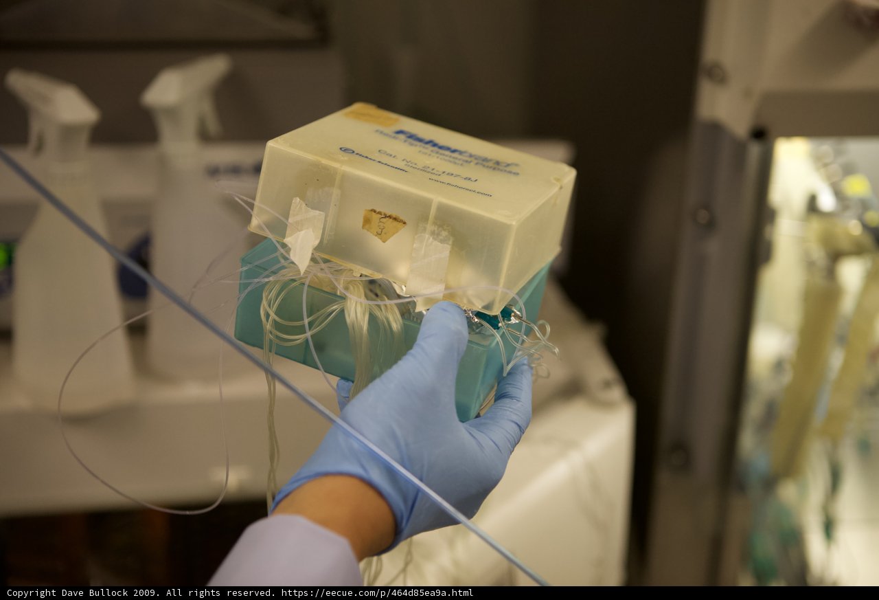 Micro Bio Chip Storage