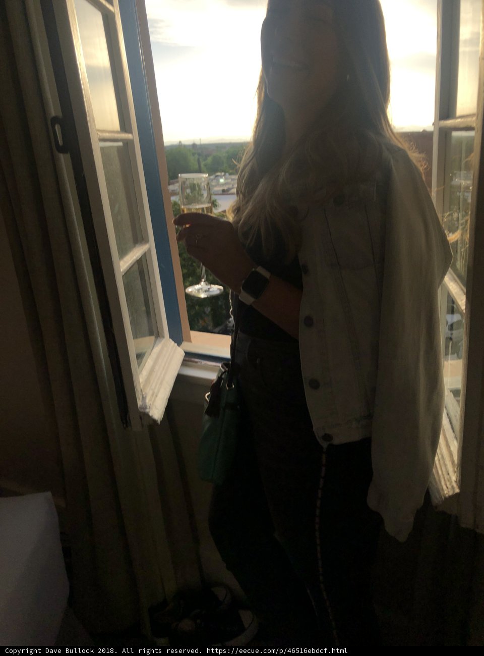 Window View