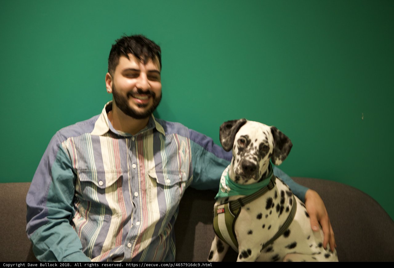 Man and his Dalmatian Friend