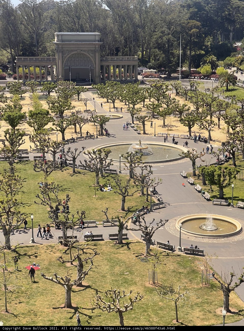 Relaxing in the Heart of Downtown San Francisco