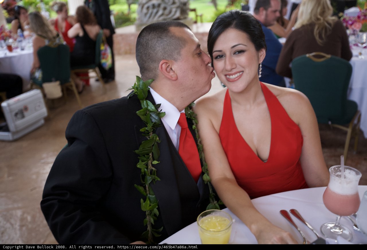 Wedding Bliss