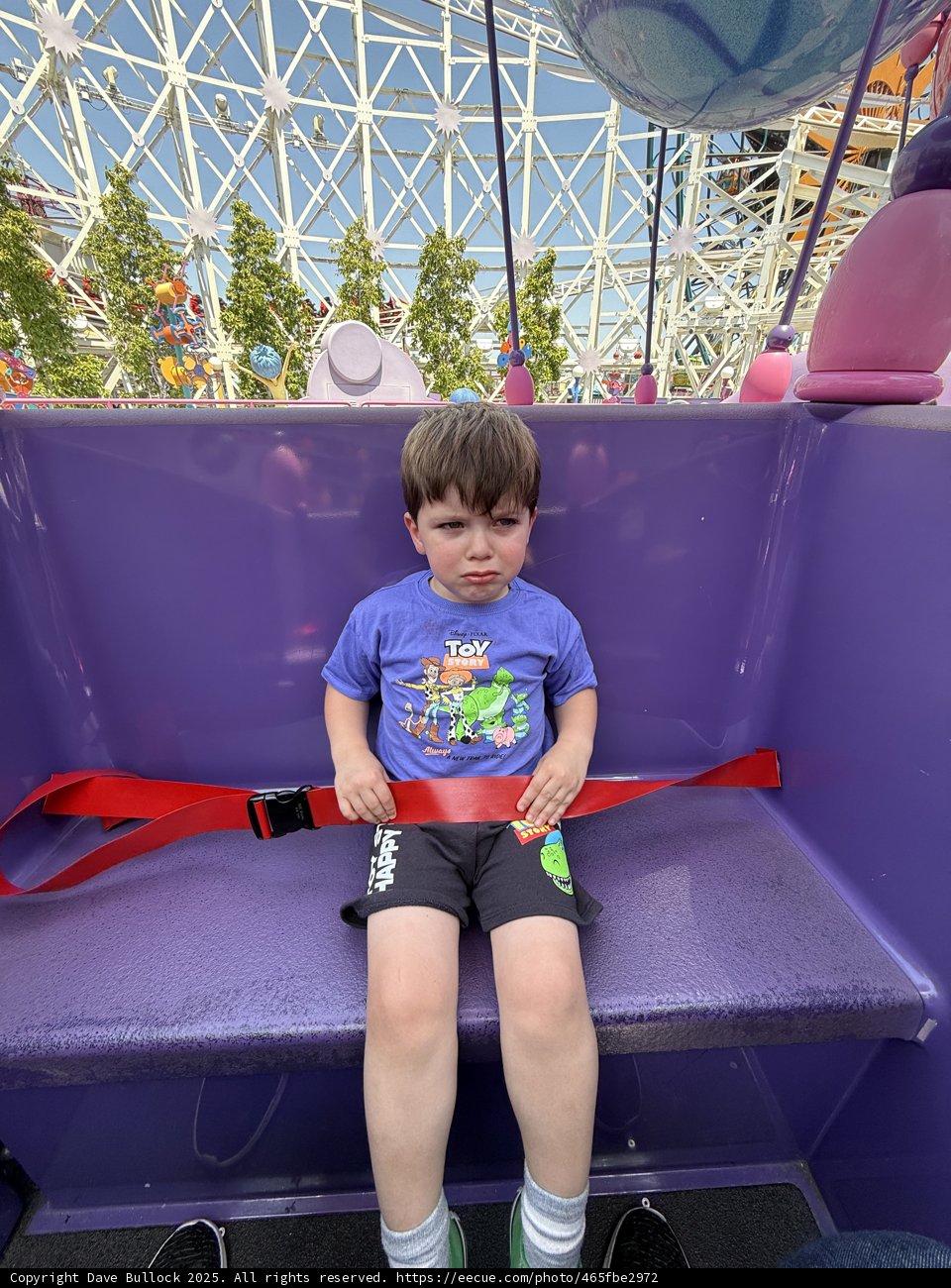 A Moment of Contemplation in a Whirl of Fun