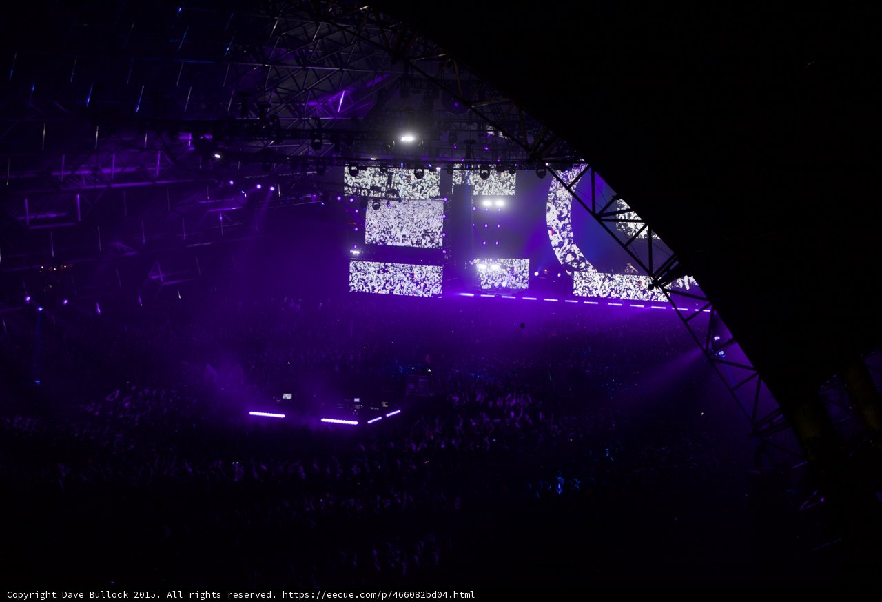 Electric Nights at Coachella