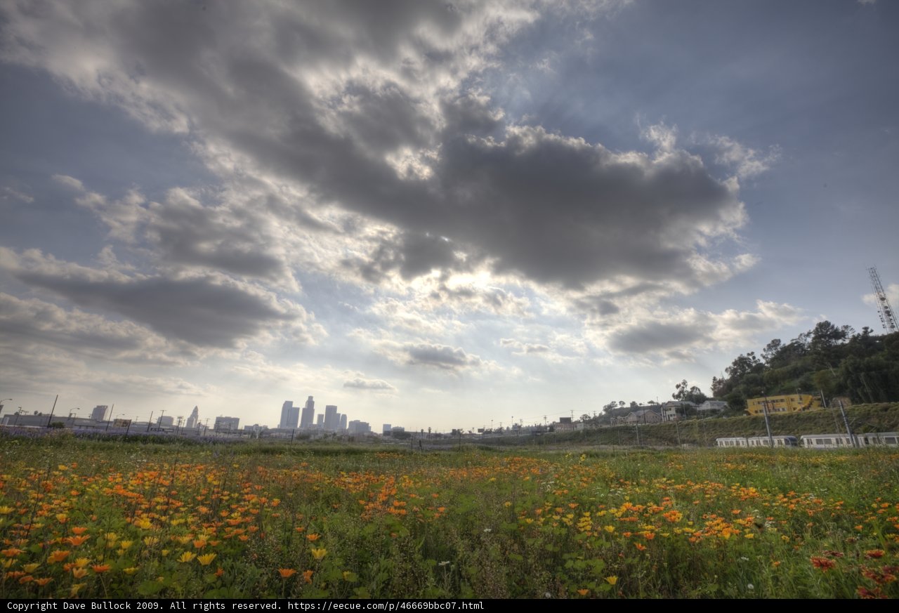 Cityscape and Meadow