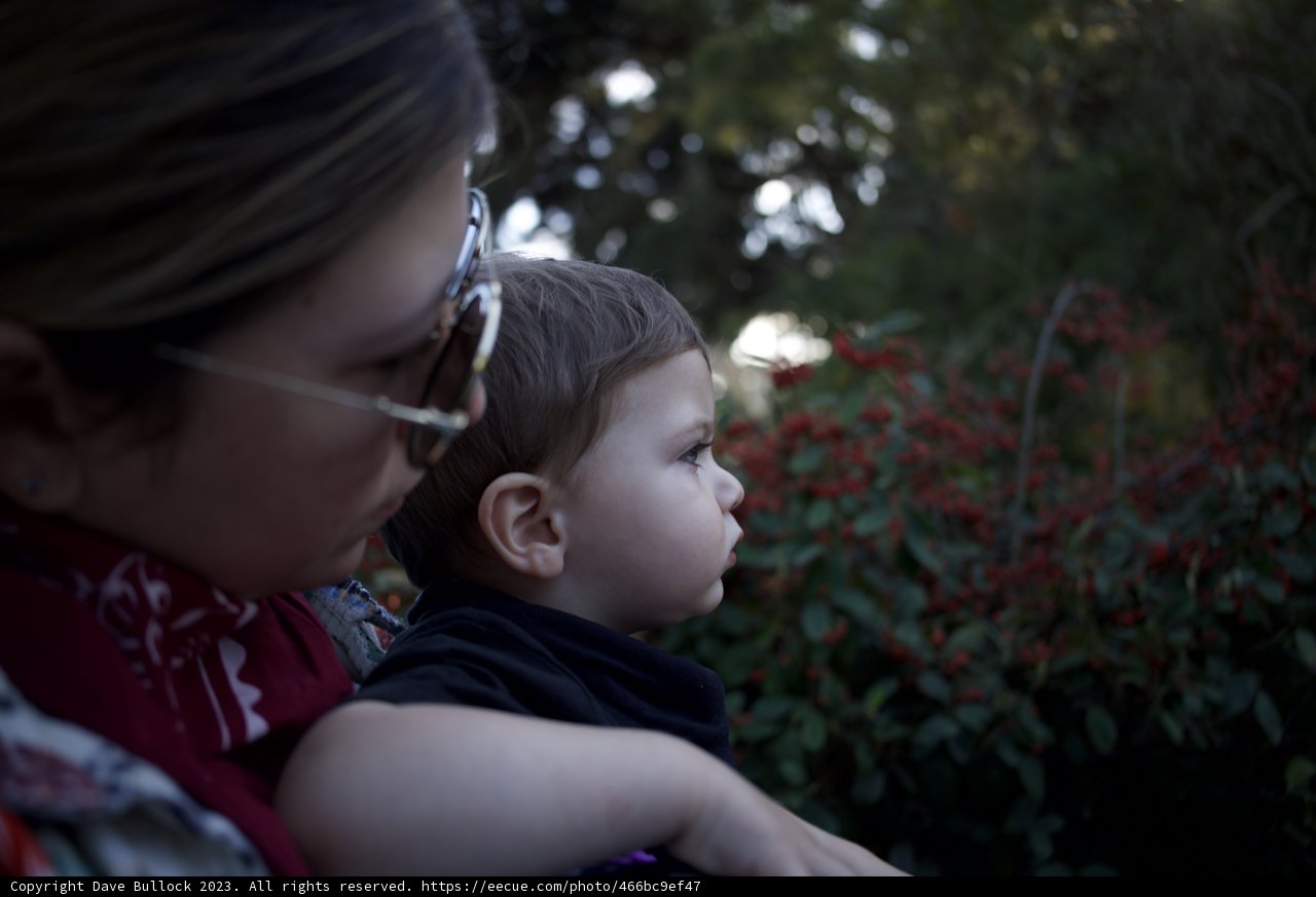 A Charming Afternoon at SF Zoo