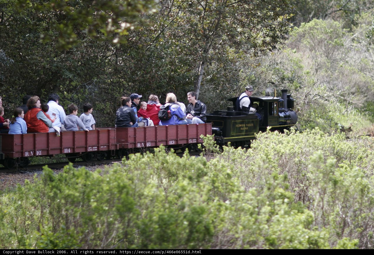 Riding the Rails in the Woods