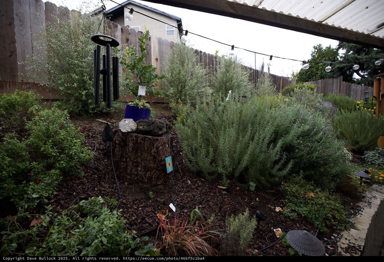 Backyard Garden Sanctuary with Wind Chimes and Herbs