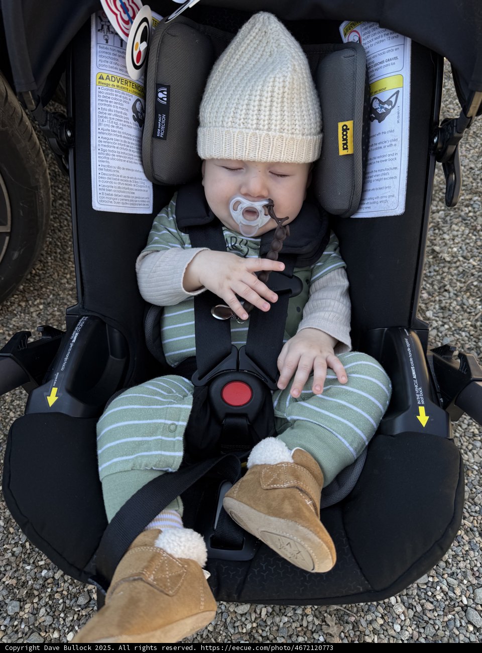 Cozy Moments at the Ruth Bancroft Garden