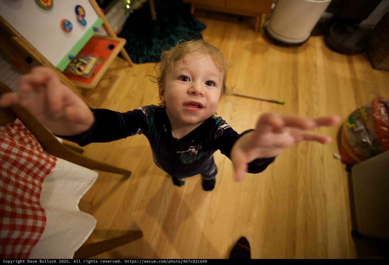 Toddler Reaching Up During Christmas Morning at Home