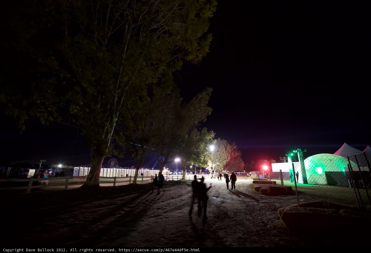Night Walk Through the Park