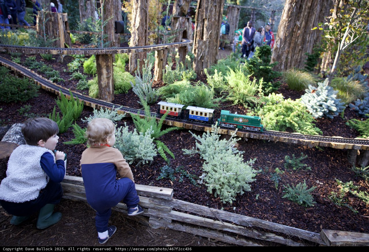 Enchanted Garden Railway