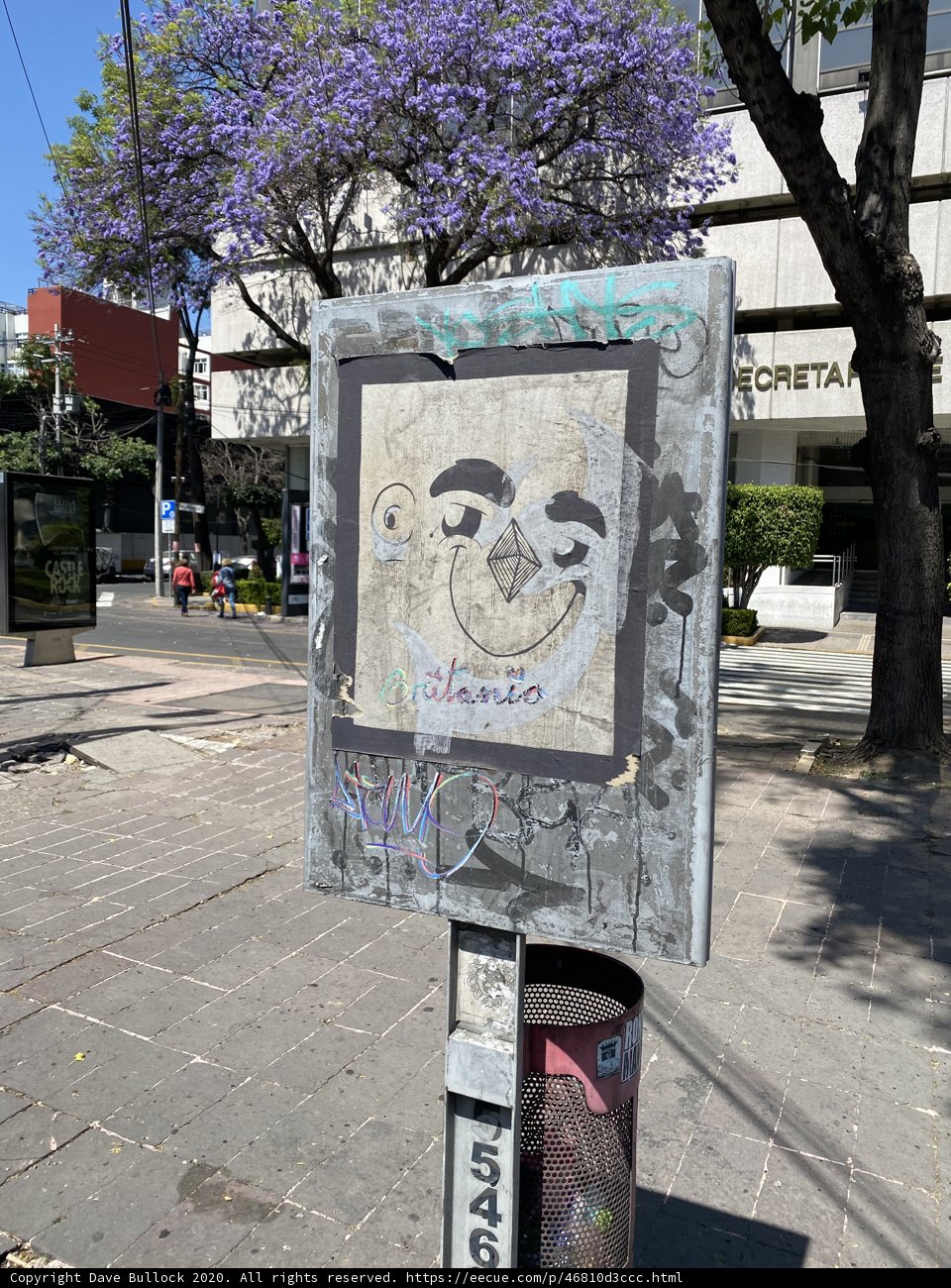 The Face on the Street Sign