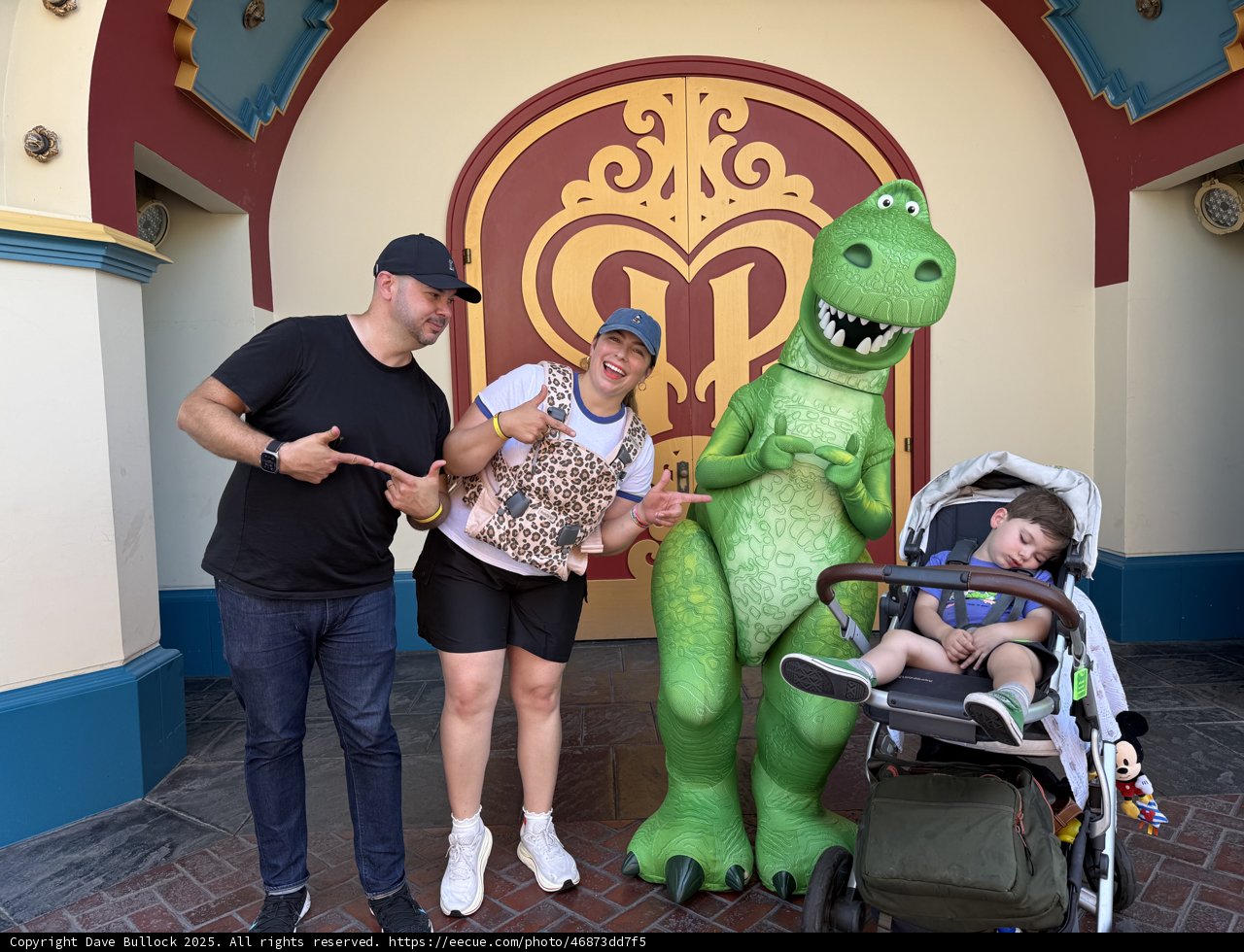Dino Dreams and Family Fun