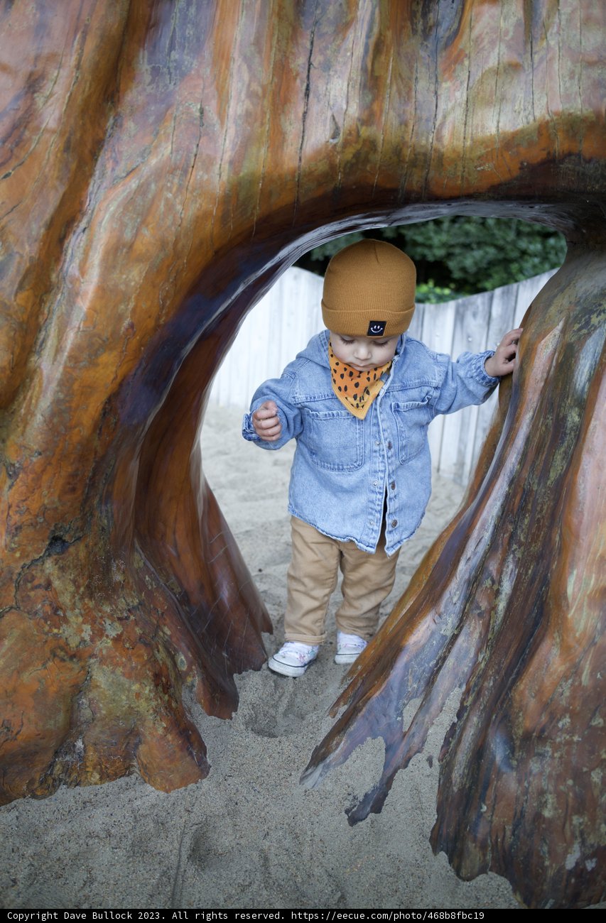 Nature's Hideout: A Young Boy's Adventure