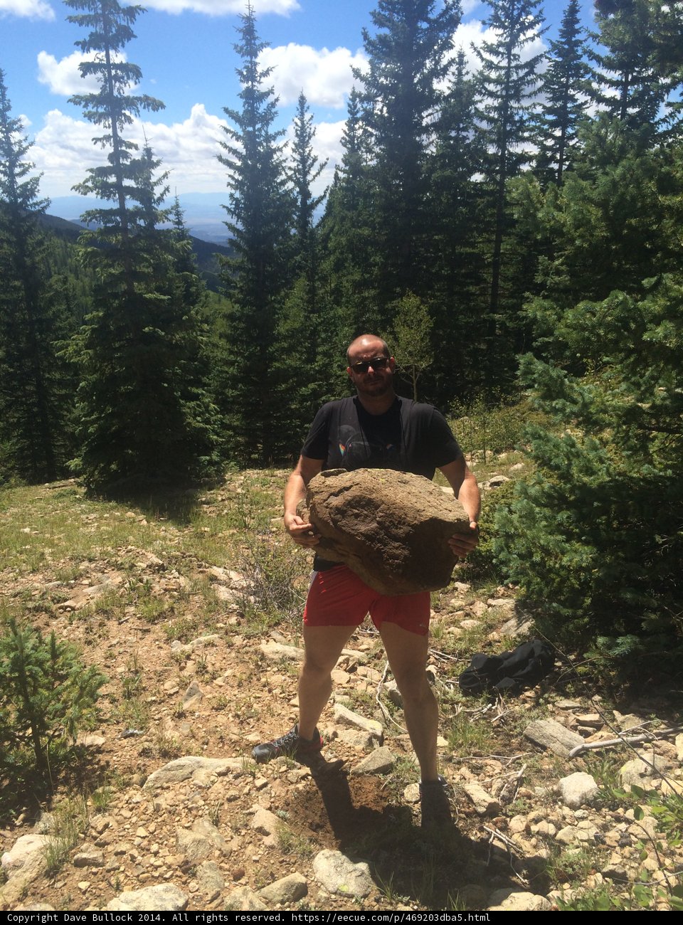 The Wilderness Explorer