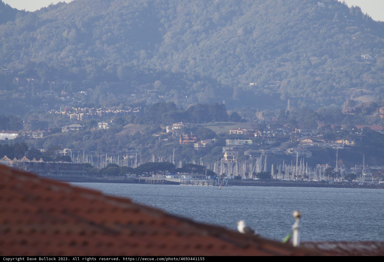 Metropolitan Waterscape 2023: A Symphony of Nature and Urbanism at Fort Mason