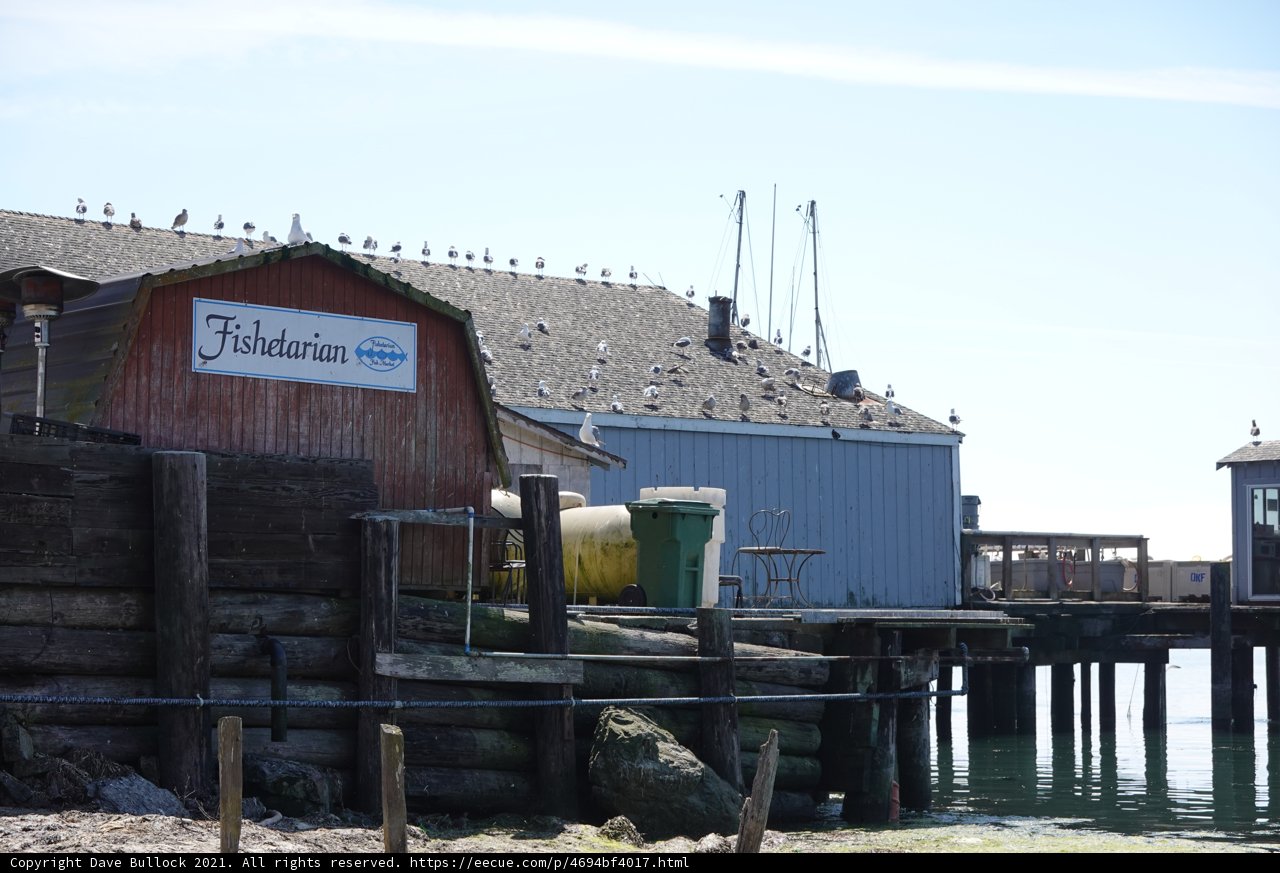 Waterside Shelter