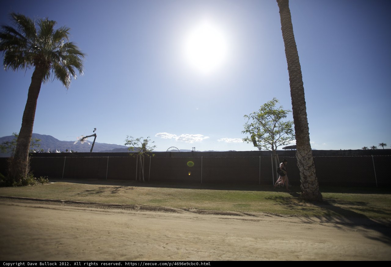 Kite Flying Fun in the Desert