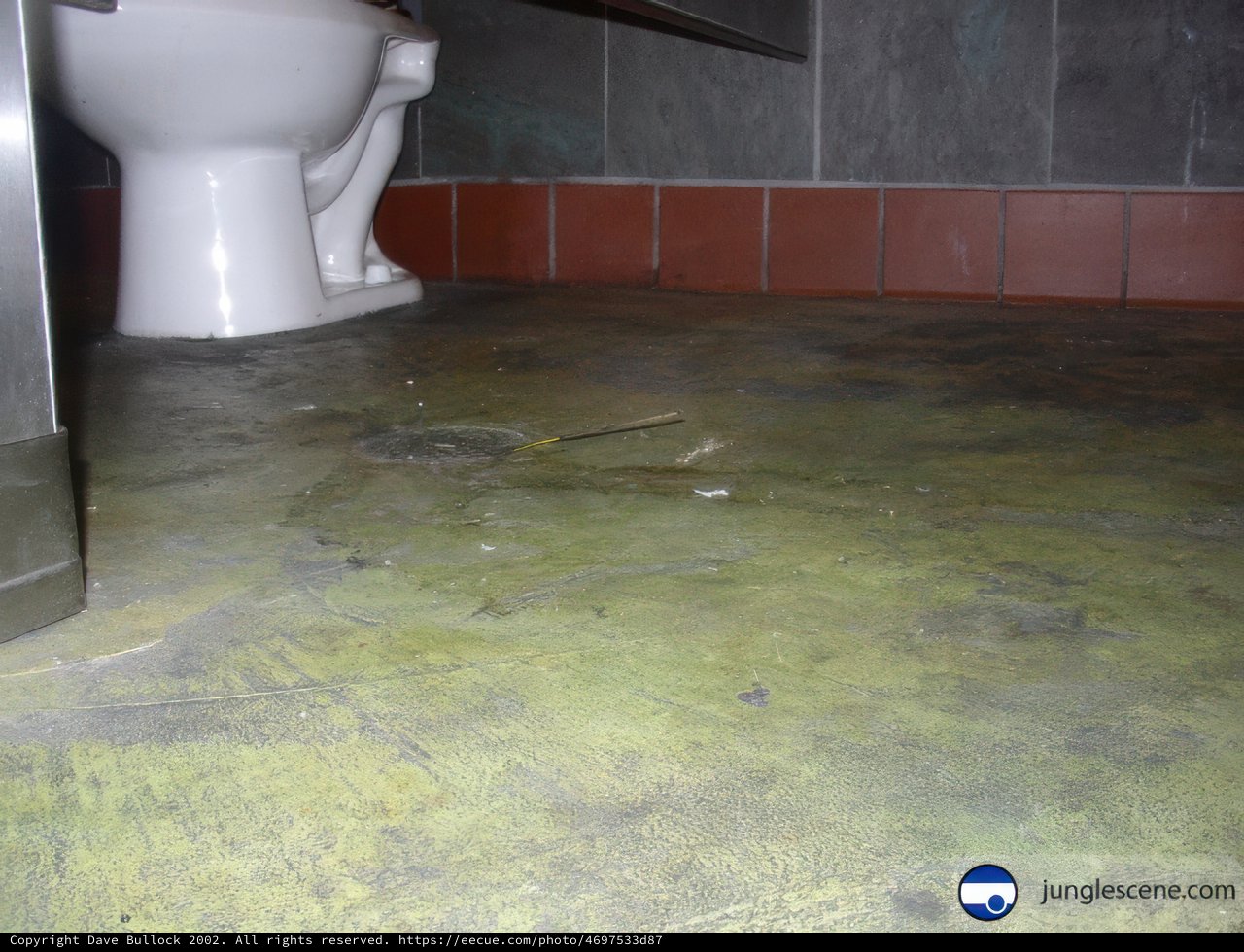 Broken Bathroom Floor